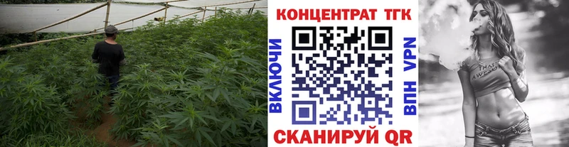 Дистиллят ТГК концентрат  Купить где  Цивильск 