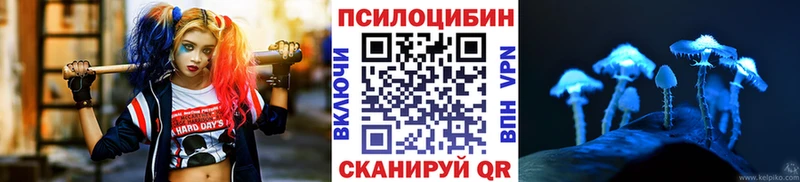 Купить где  Цивильск  Псилоцибиновые грибы прущие грибы 